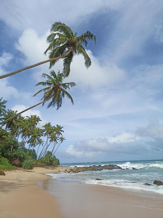 Beach House Kalukatiya - Family Villa, Seaview Room, Garden Room ديكويلاّ تين المظهر الخارجي الصورة