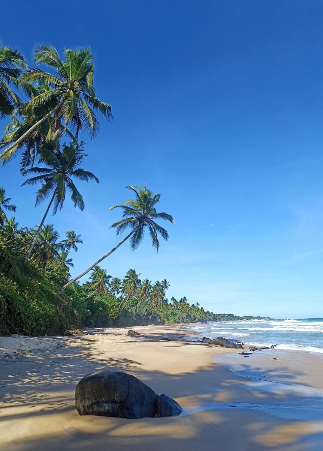Beach House Kalukatiya - Family Villa, Seaview Room, Garden Room ديكويلاّ تين المظهر الخارجي الصورة