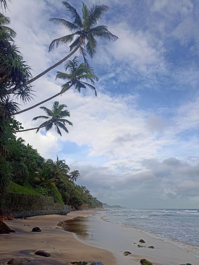 Beach House Kalukatiya - Family Villa, Seaview Room, Garden Room ديكويلاّ تين المظهر الخارجي الصورة