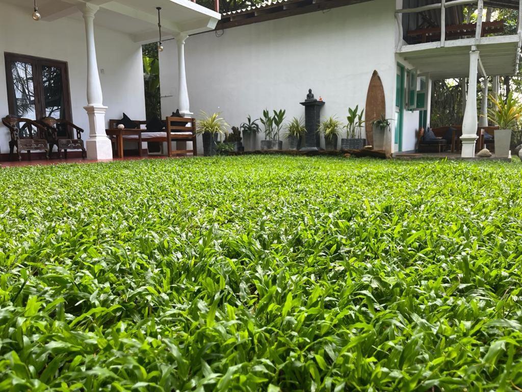 Beach House Kalukatiya - Family Villa, Seaview Room, Garden Room ديكويلاّ تين المظهر الخارجي الصورة
