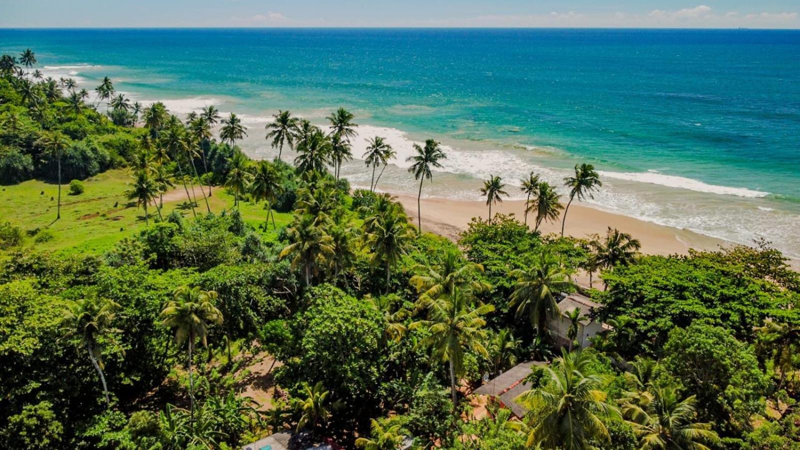 Beach House Kalukatiya - Family Villa, Seaview Room, Garden Room ديكويلاّ تين المظهر الخارجي الصورة