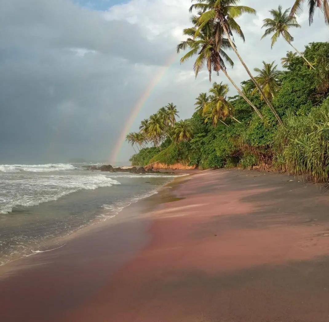 Beach House Kalukatiya - Family Villa, Seaview Room, Garden Room ديكويلاّ تين المظهر الخارجي الصورة